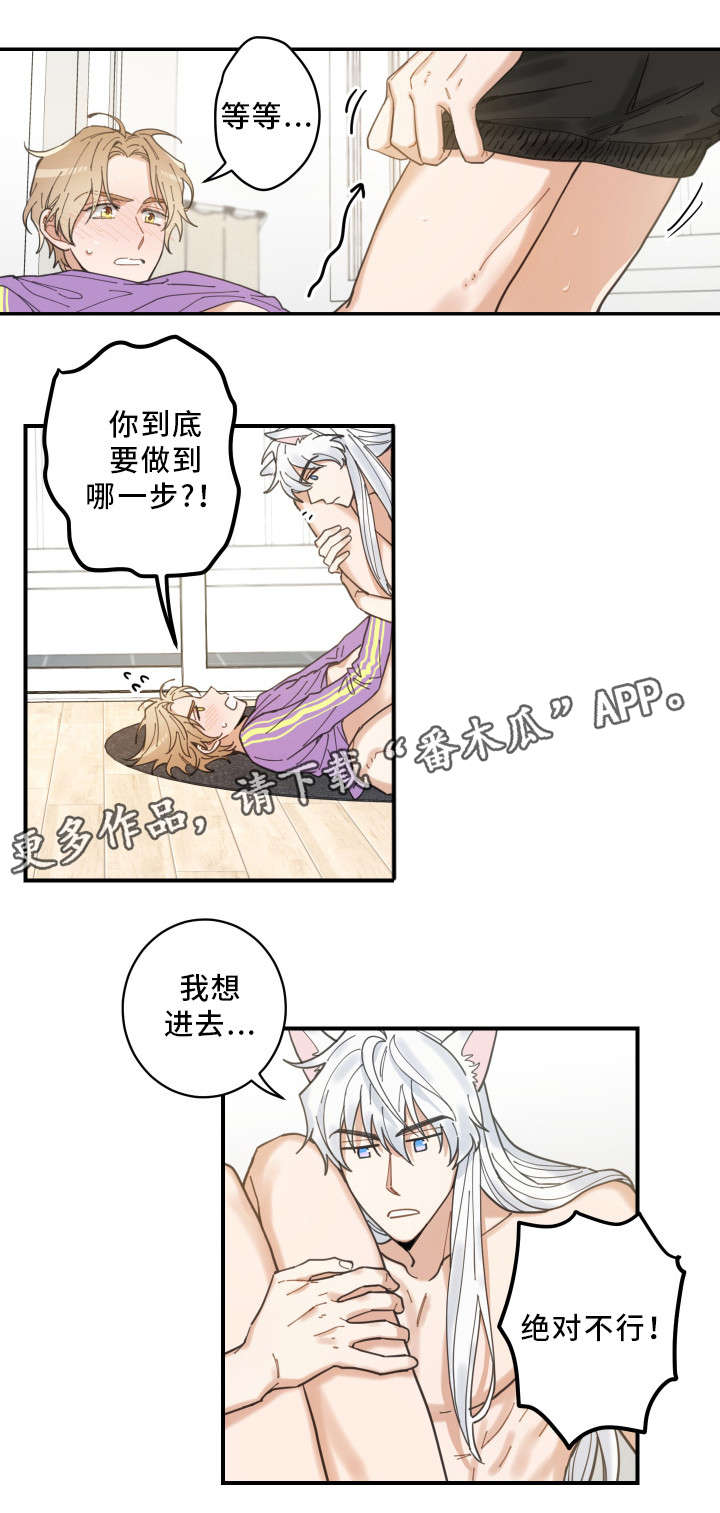 亲爱的喵君漫画,第6章：猫呢4图