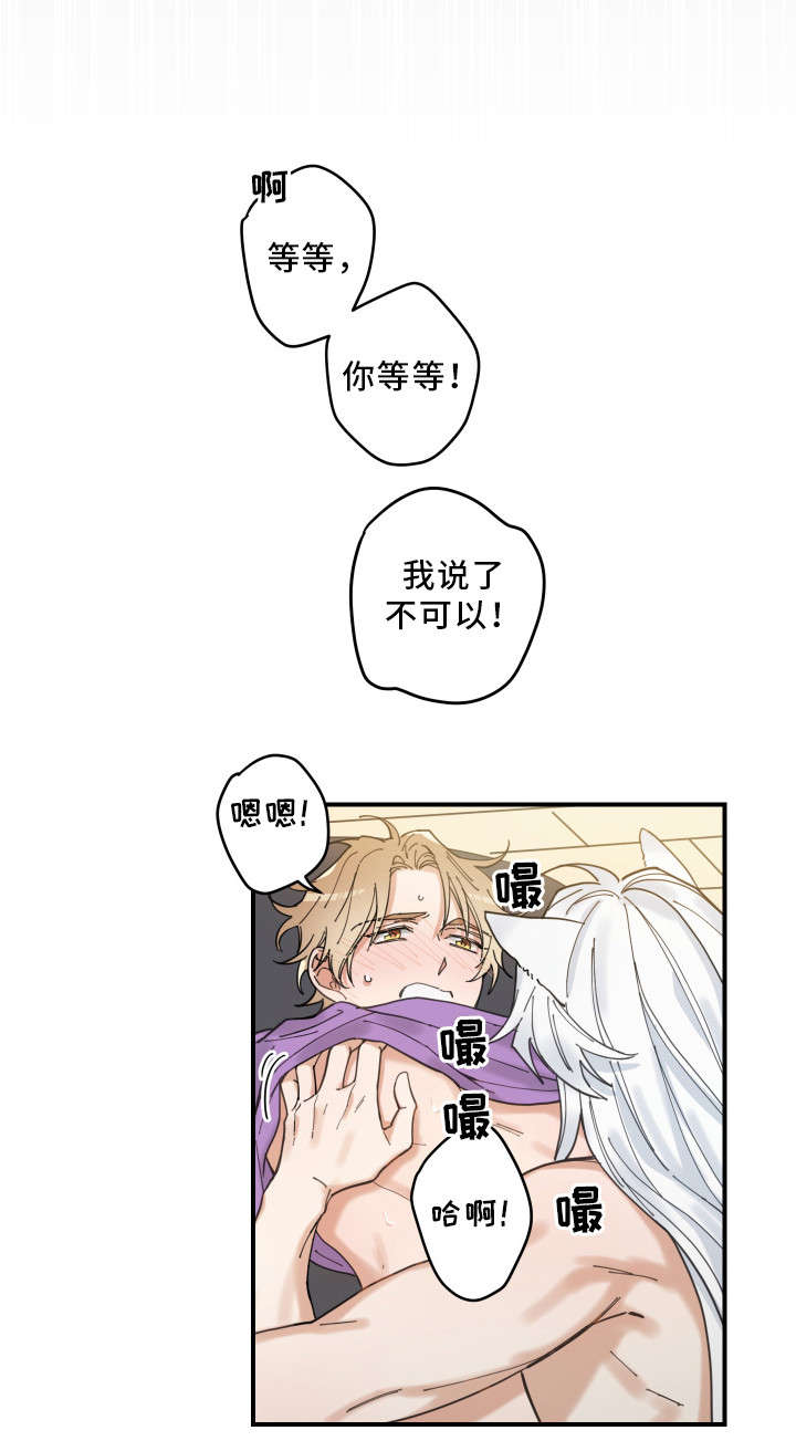 亲爱的喵君漫画,第6章：猫呢2图