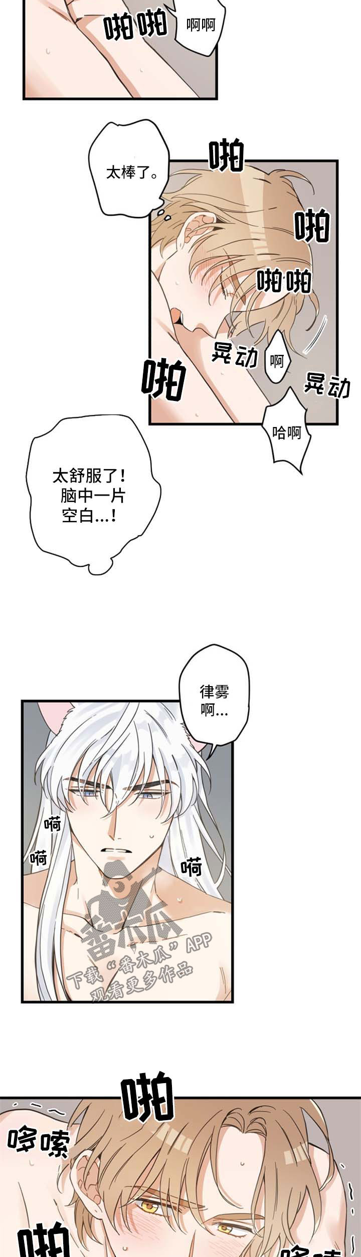 亲爱的喵君漫画,第78章：做你想做的3图