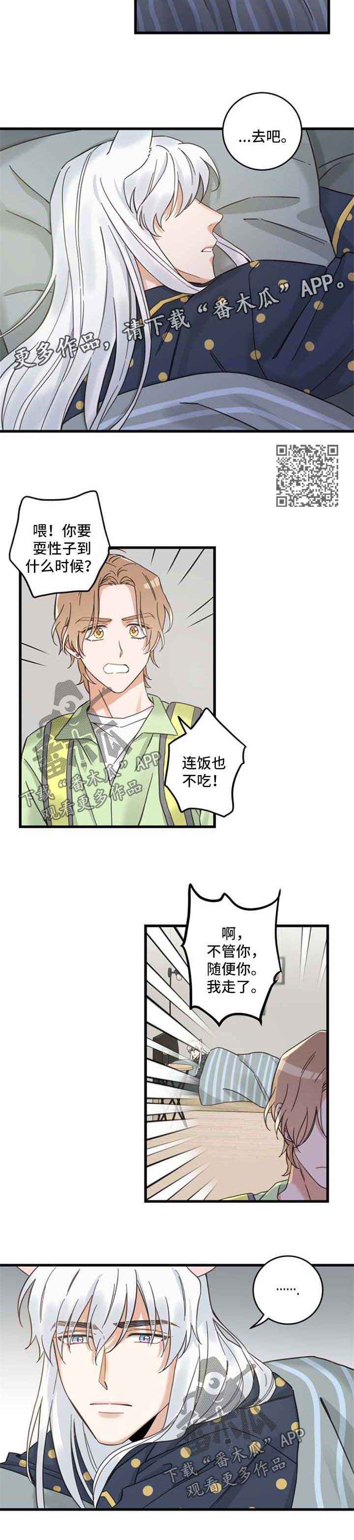 亲爱的喵君漫画,第96章：闹别扭4图