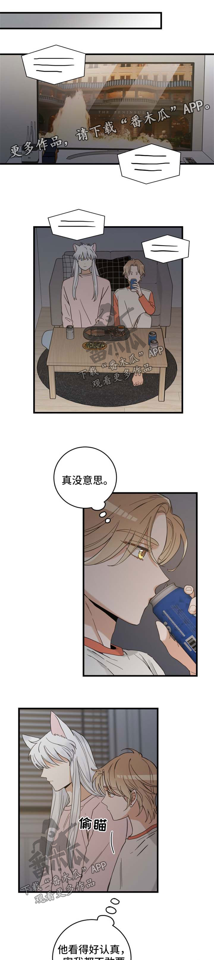 亲爱的喵君漫画,第75章：我们聊聊1图