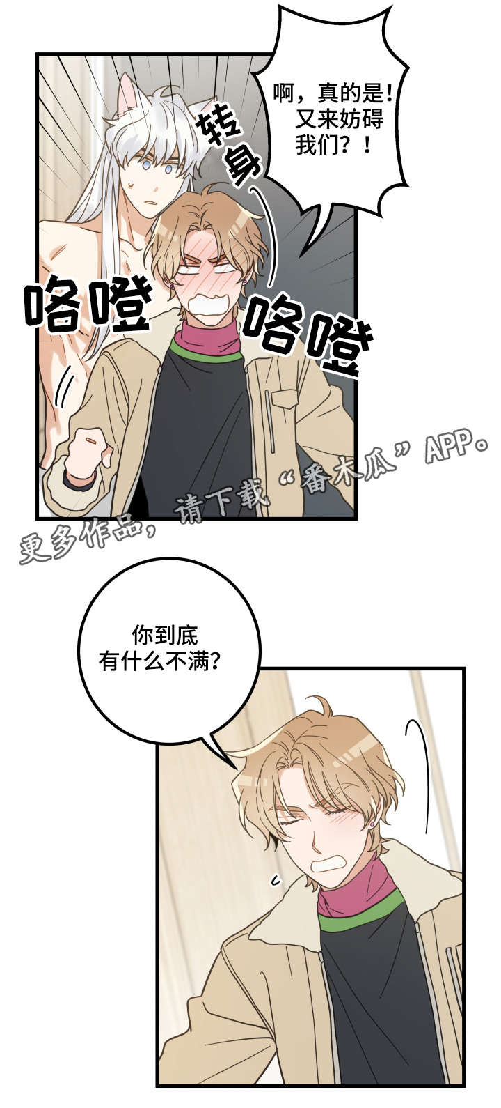 亲爱的喵君漫画,第42章：臭猫1图