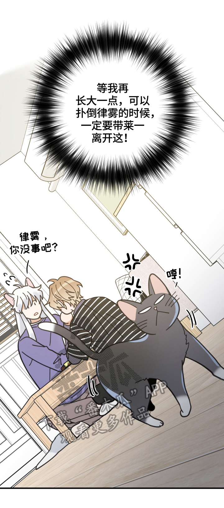 亲爱的喵君漫画,第55章：新邻居2图