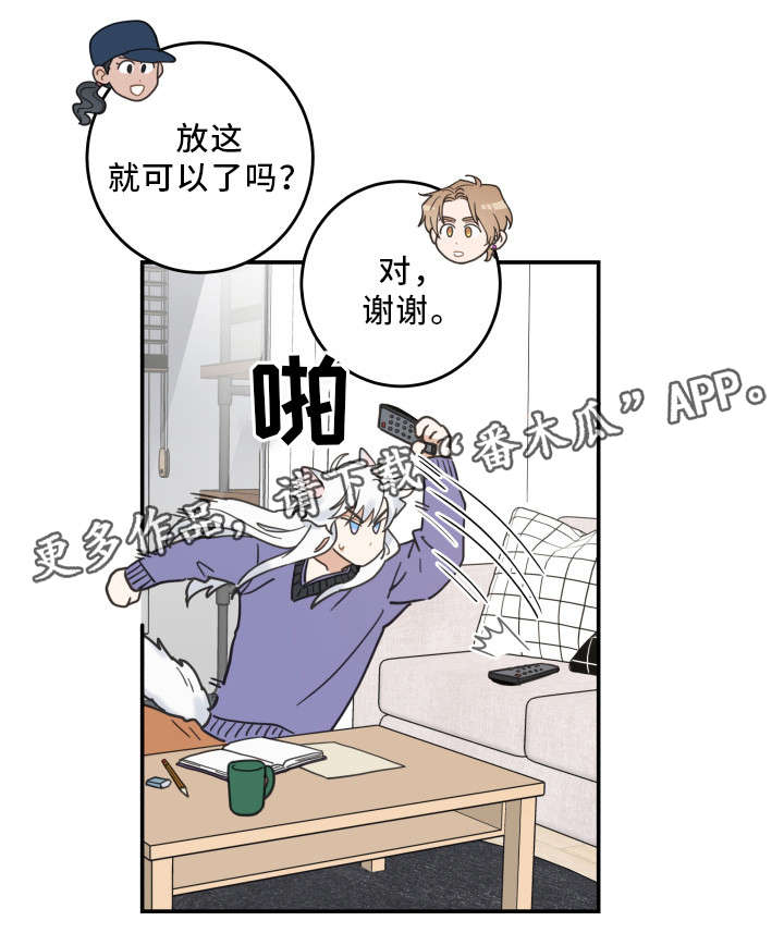 亲爱的喵君漫画,第11章：钻箱子3图