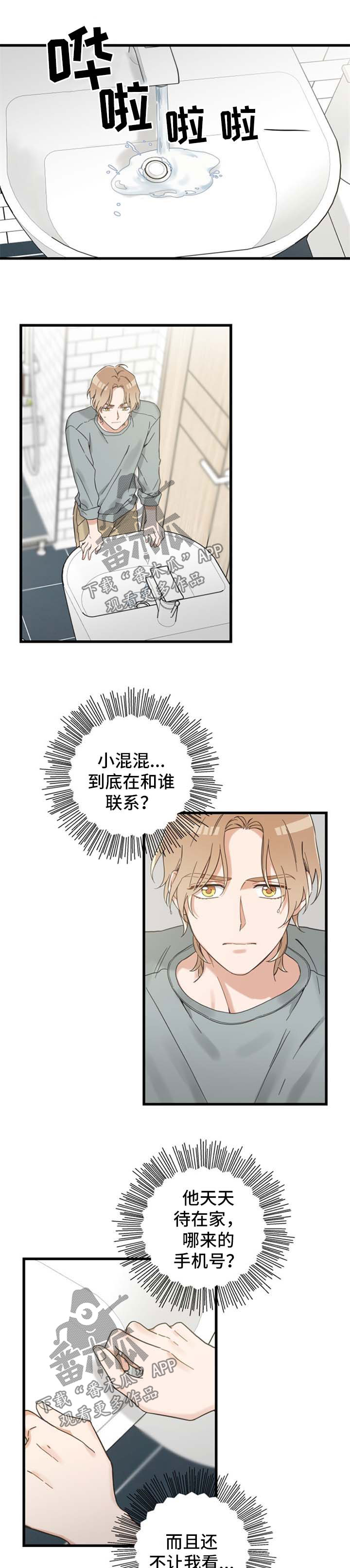 亲爱的喵君漫画,第98章：跟踪1图