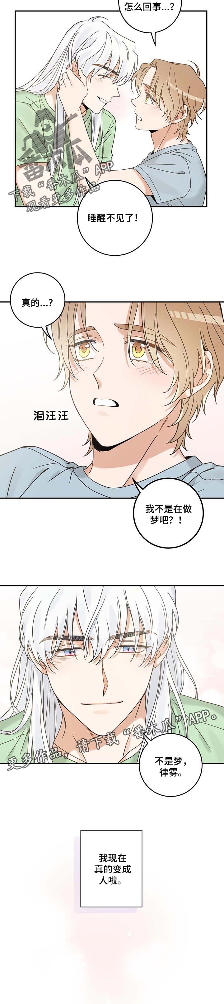 亲爱的喵君漫画,第115章：变成人了1图