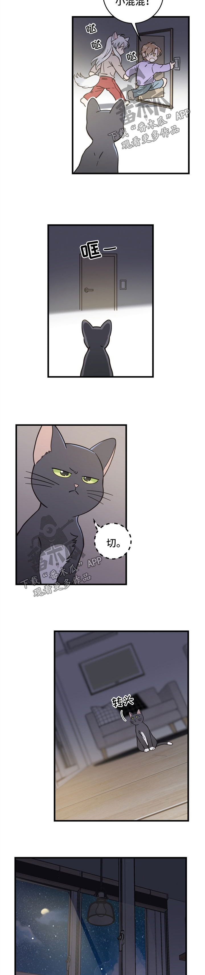 亲爱的喵君漫画,第82章：想要回家5图