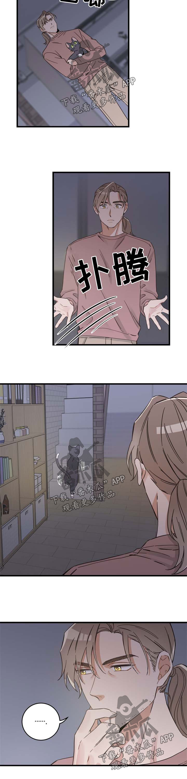 亲爱的喵君漫画,第80章：宠物心得2图