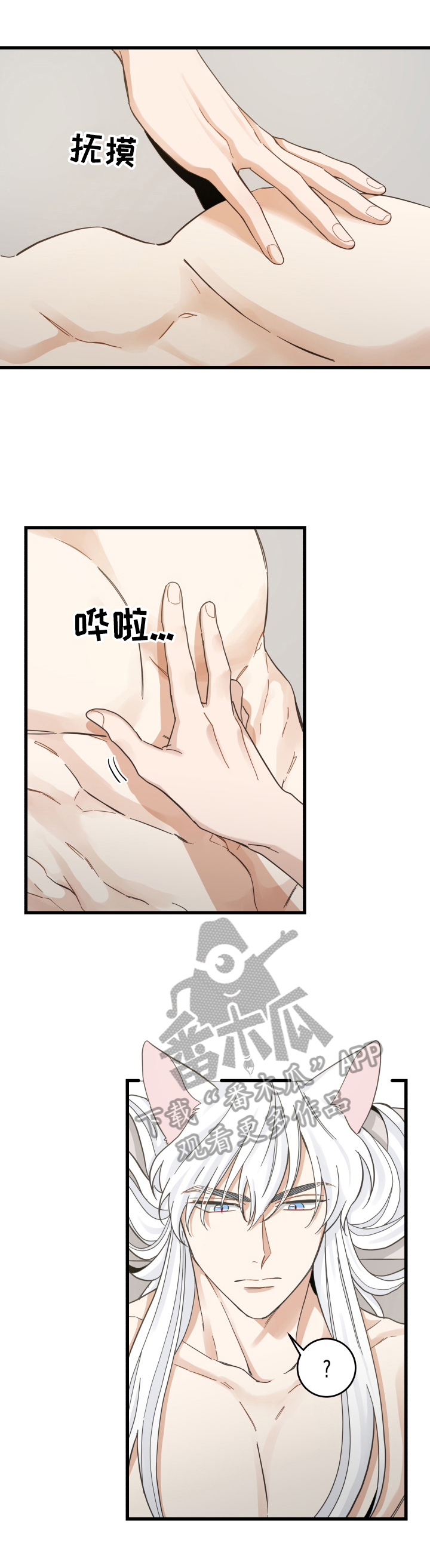 亲爱的喵君漫画,第71章：原谅2图
