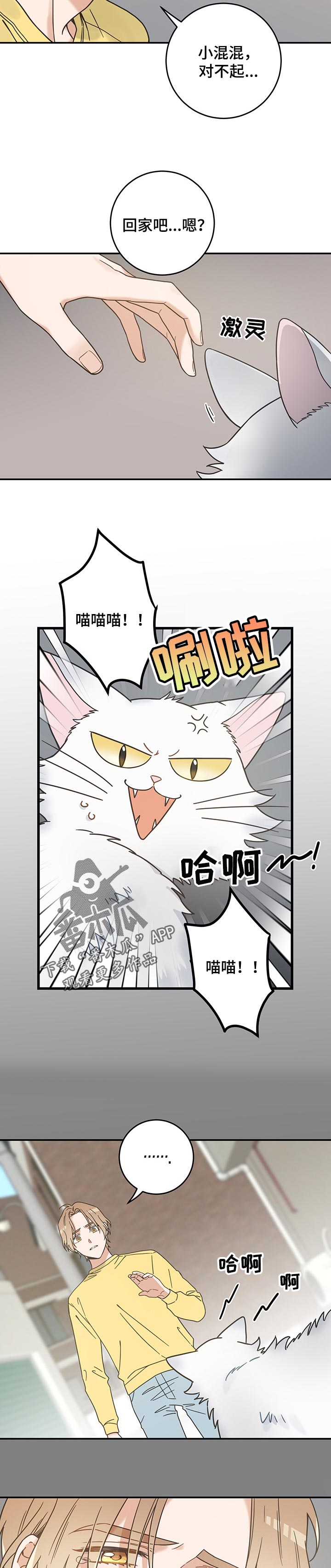 亲爱的喵君漫画,第106章：寻找5图