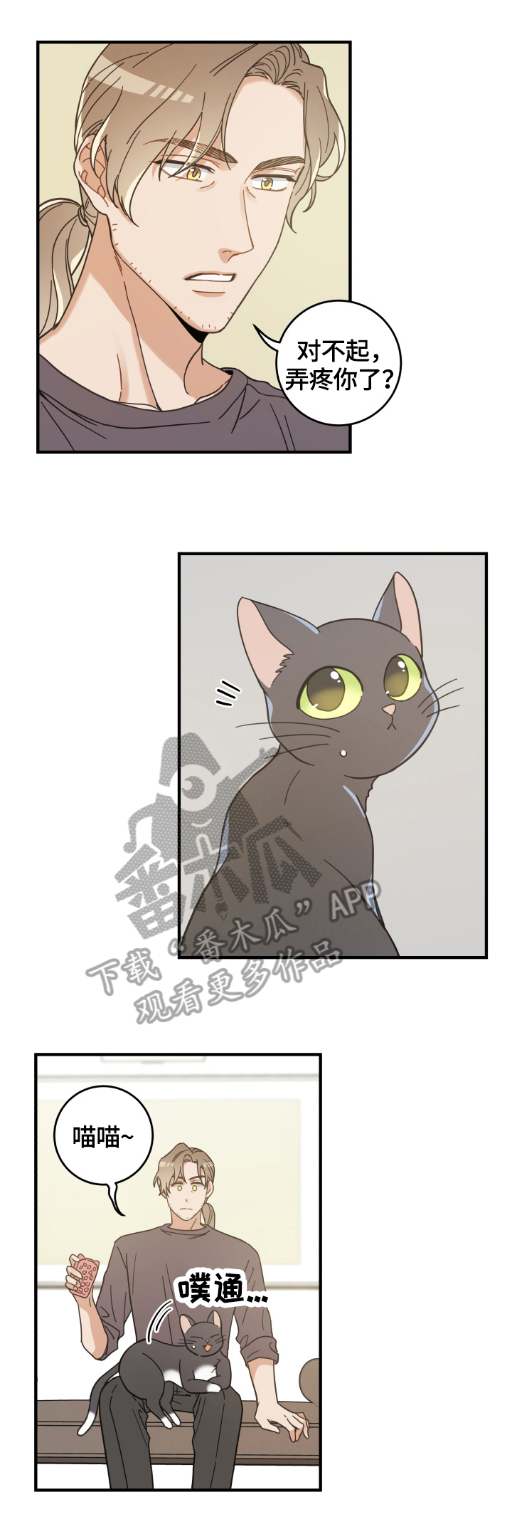 亲爱的喵君漫画,第52章：办法3图