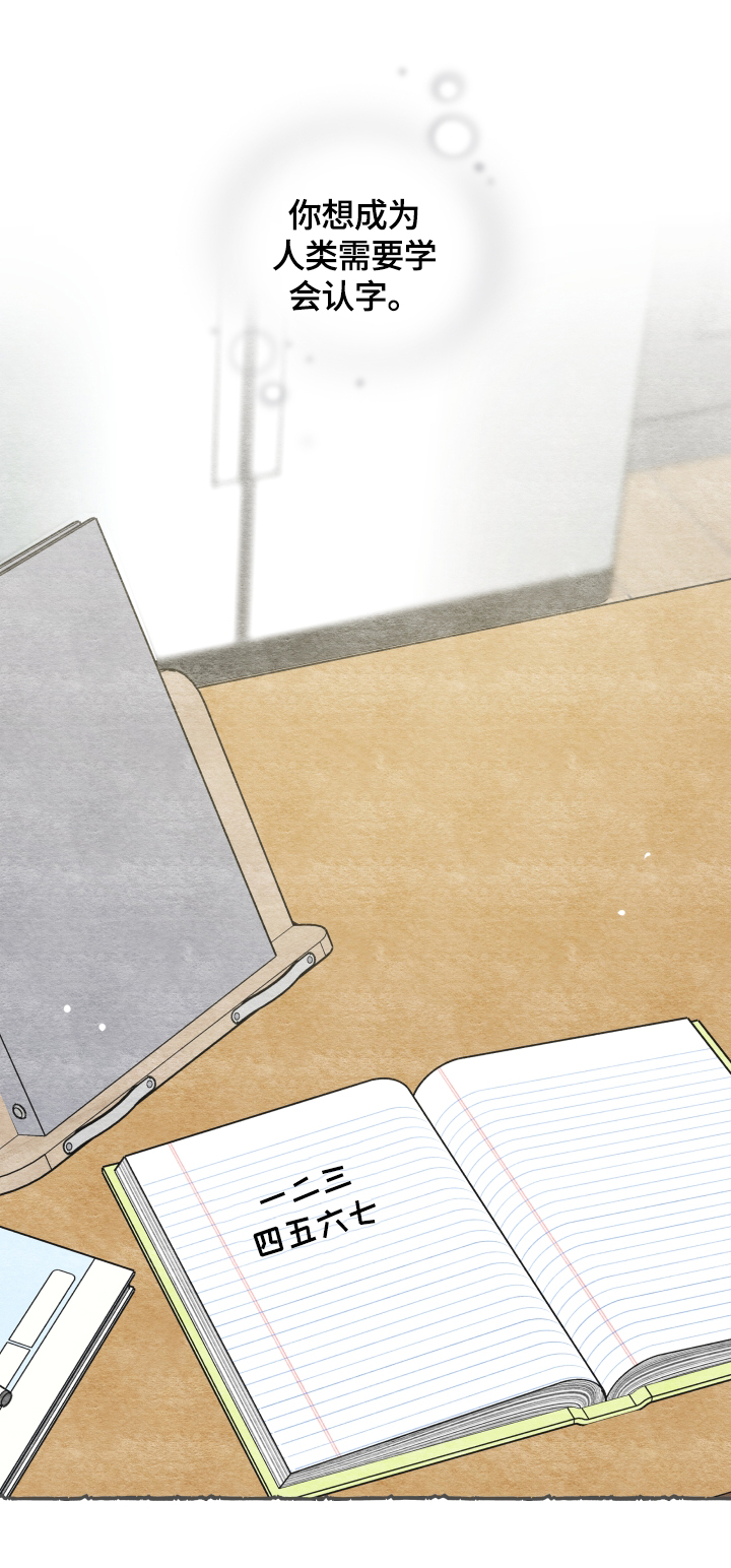 亲爱的喵君漫画,第66章：回忆4图