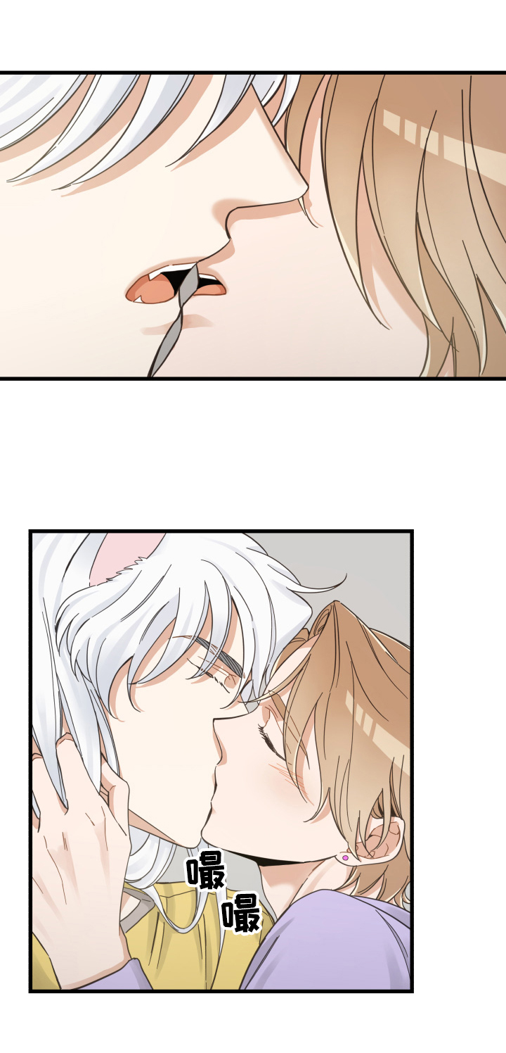 亲爱的喵君漫画,第71章：原谅3图