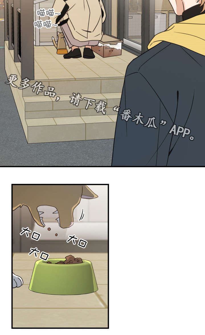 亲爱的喵君漫画,第23章：再遇5图