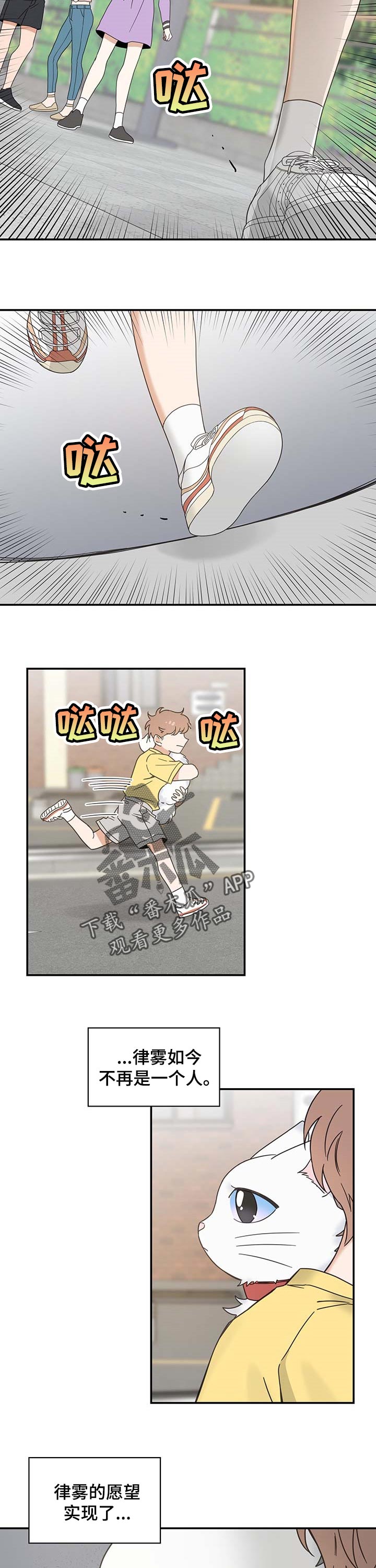 亲爱的喵君漫画,第111章：重逢3图