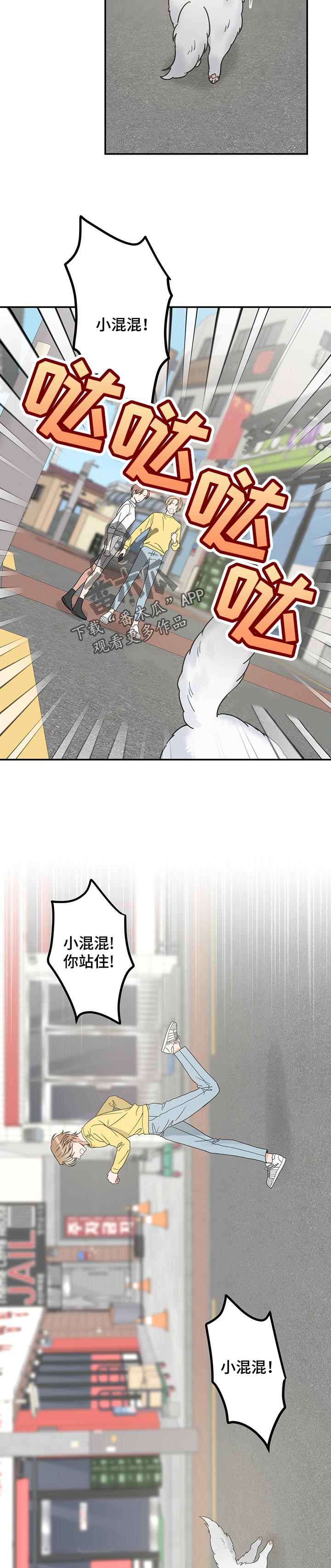 亲爱的喵君漫画,第106章：寻找3图