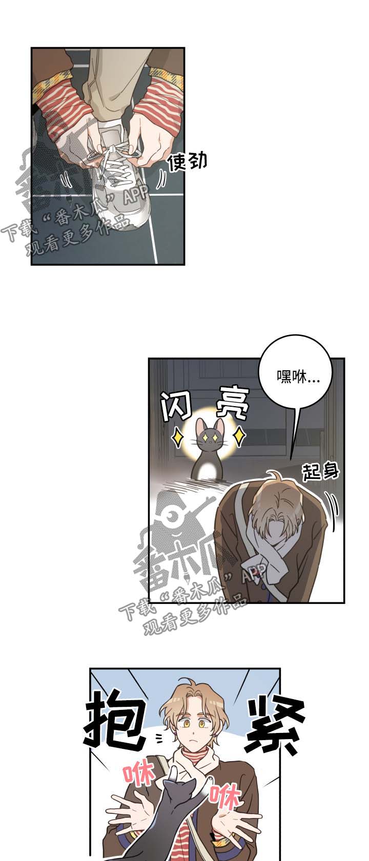 亲爱的喵君漫画,第46章：不能一起1图