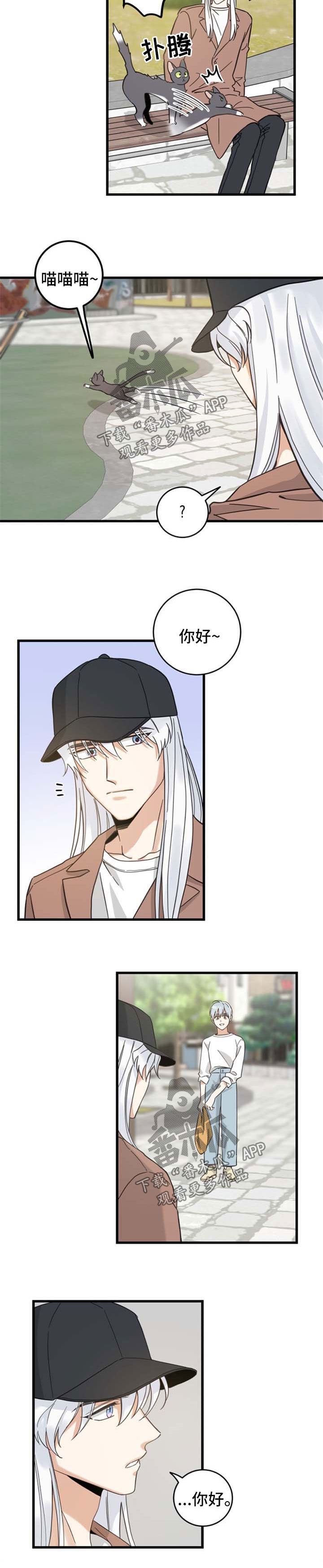 亲爱的喵君漫画,第91章：偶遇4图