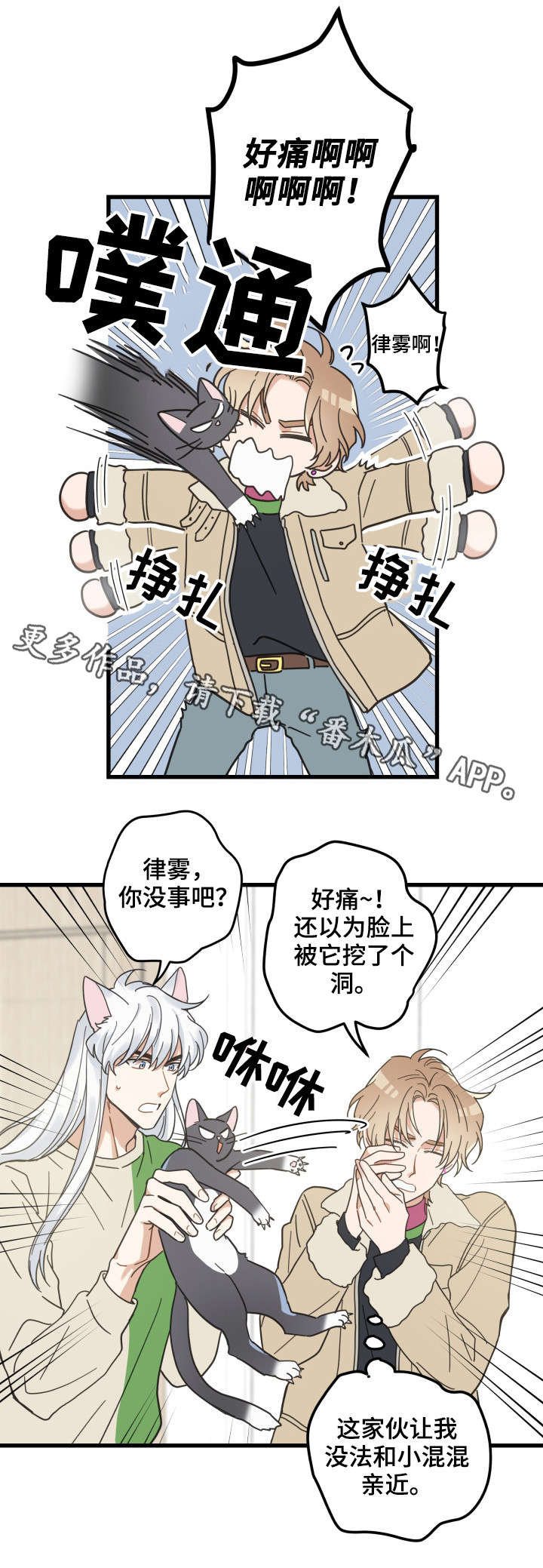 亲爱的喵君漫画,第40章：决心1图