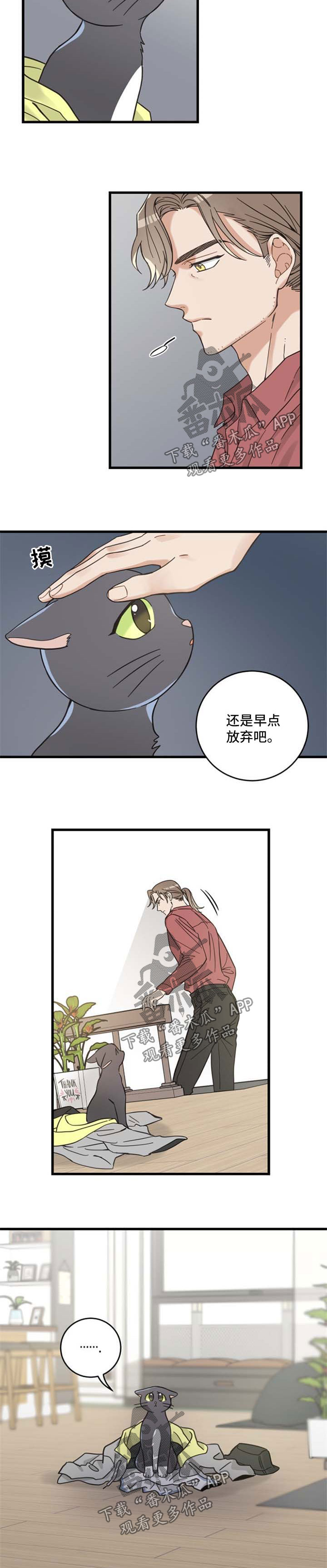 亲爱的喵君漫画,第87章：不放弃2图