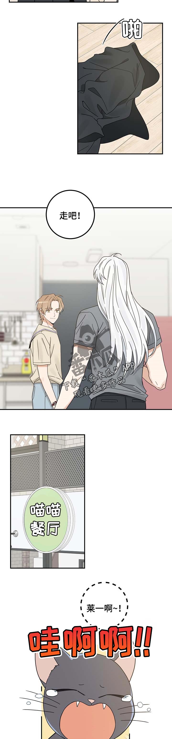 亲爱的喵君漫画,第116章：静待观察3图