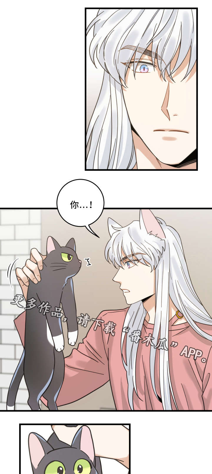 亲爱的喵君漫画,第36章：跟踪3图