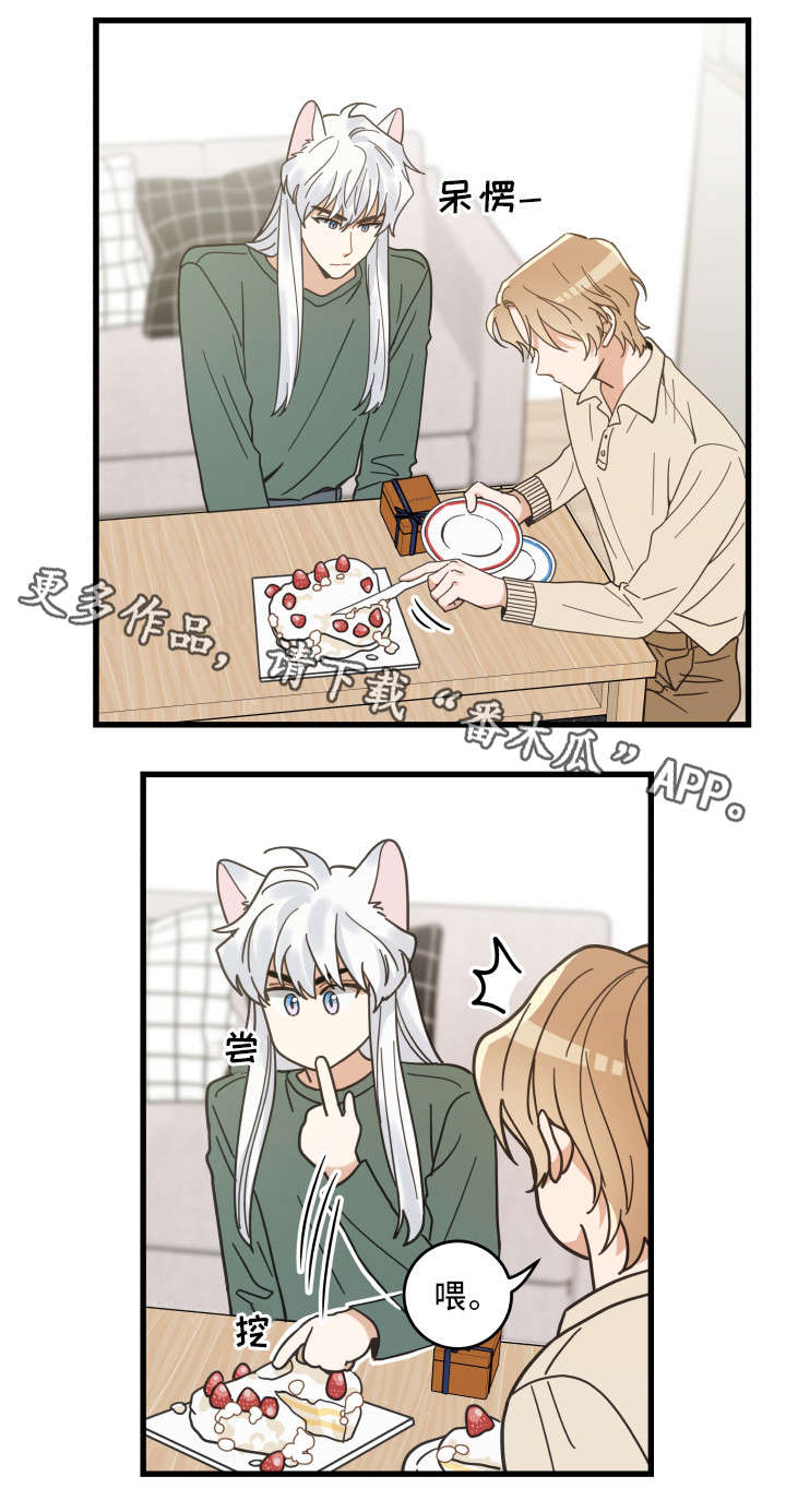 亲爱的喵君漫画,第28章：蛋糕1图