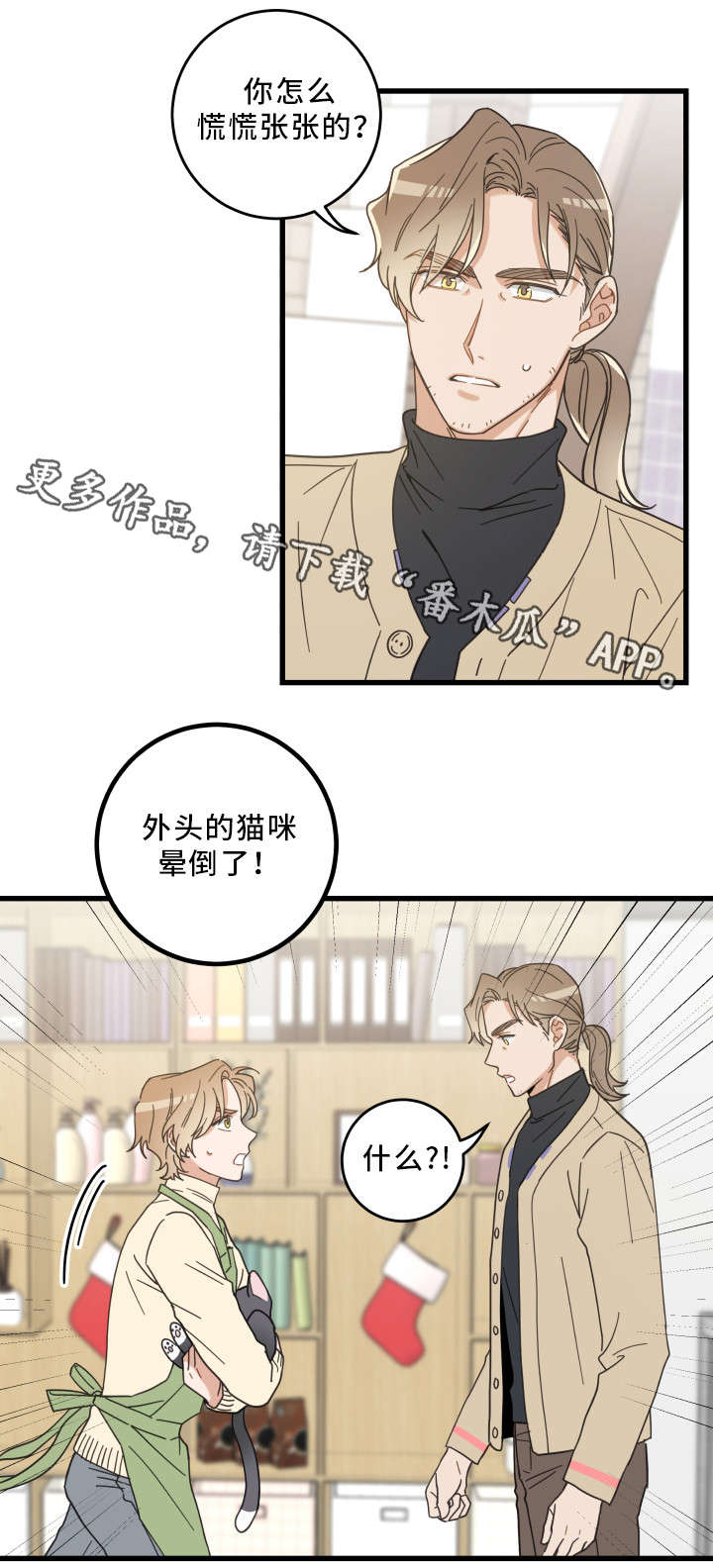 亲爱的喵君漫画,第32章：晕倒5图