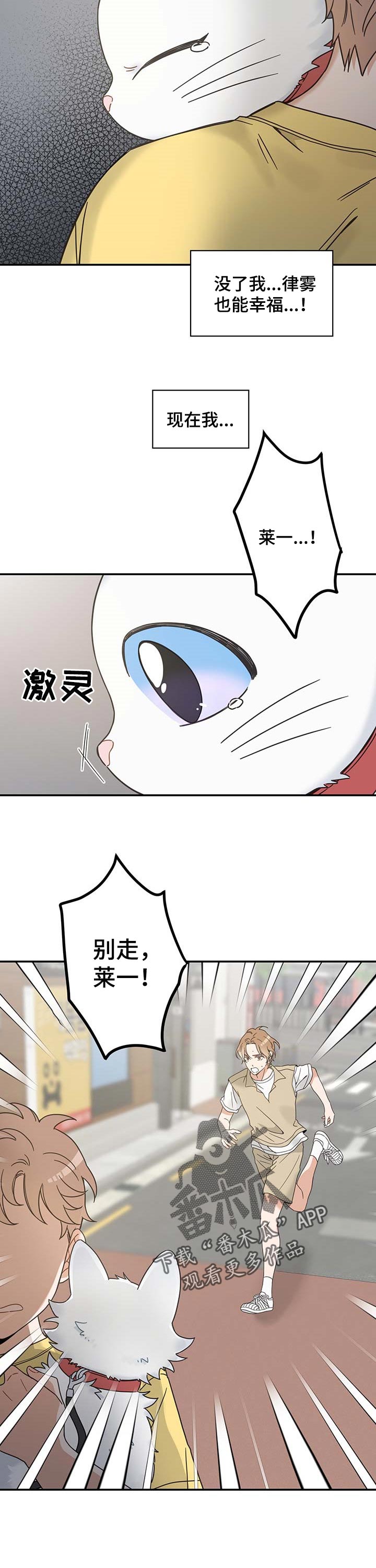 亲爱的喵君漫画,第111章：重逢4图