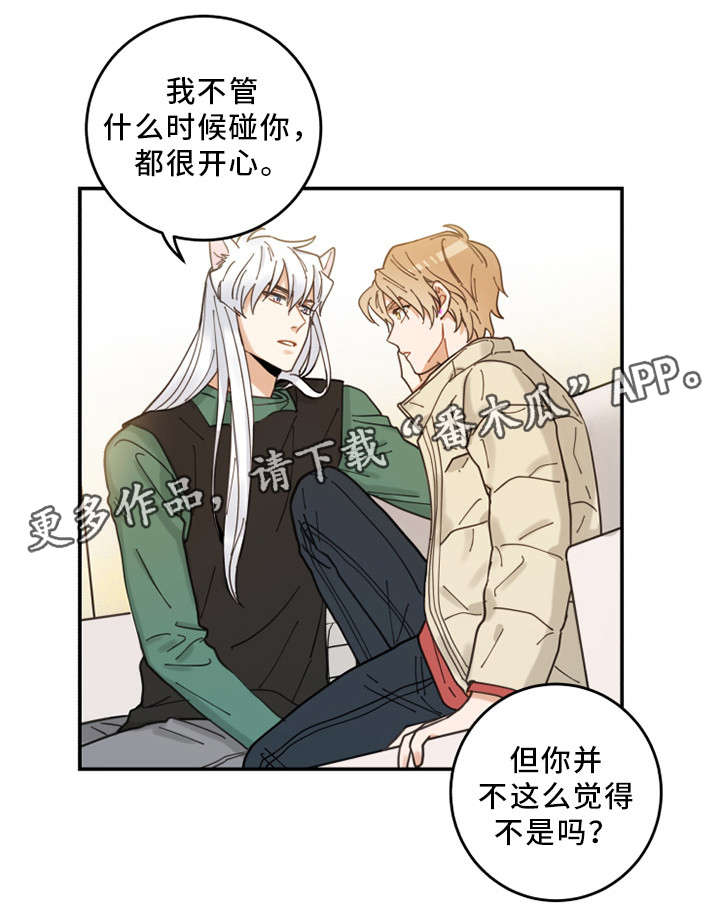 亲爱的喵君漫画,第14章：散步4图