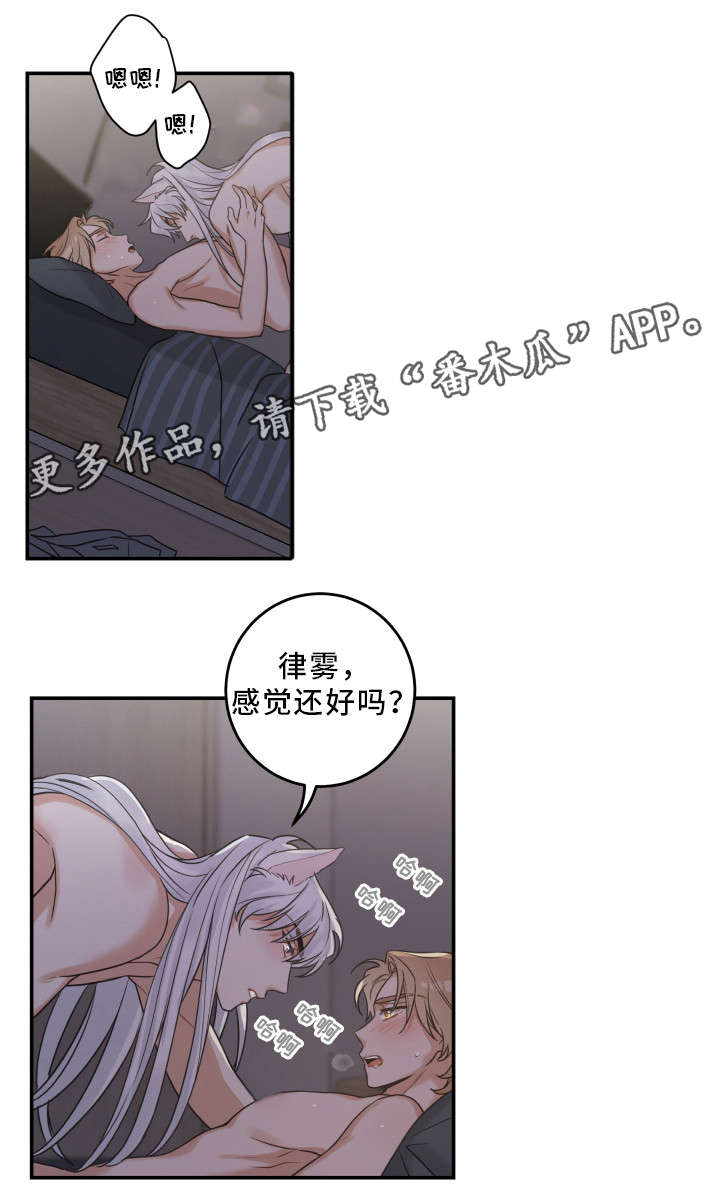 亲爱的喵君漫画,第20章：感觉好吗1图