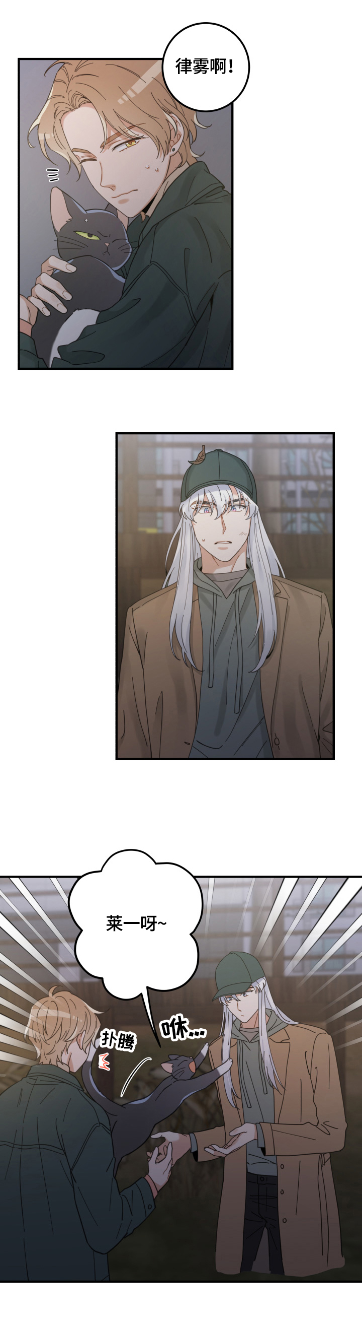 亲爱的喵君漫画,第54章：回家3图