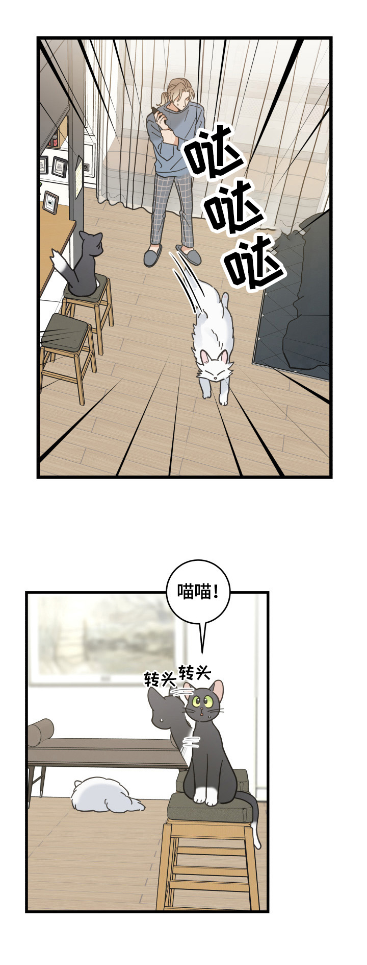 亲爱的喵君漫画,第62章：拒绝2图