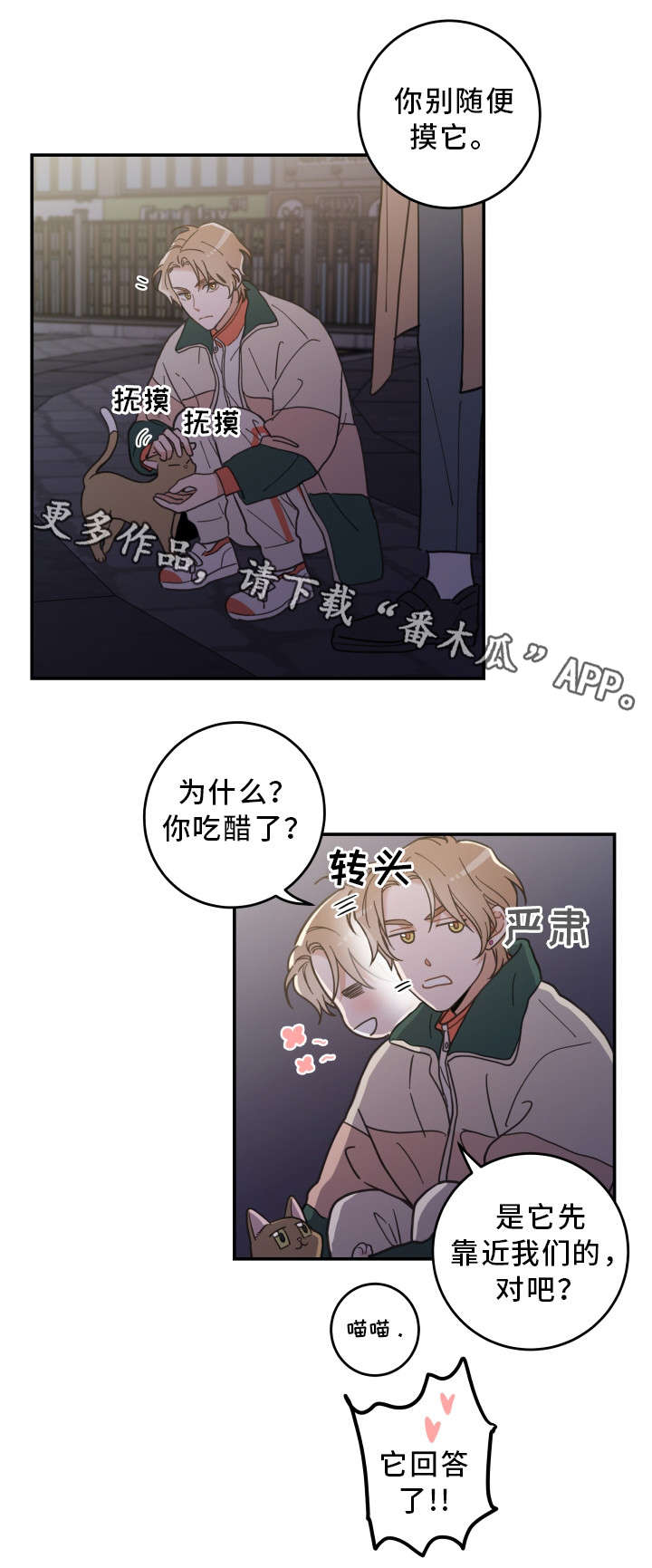 亲爱的喵君漫画,第15章：抓伤3图