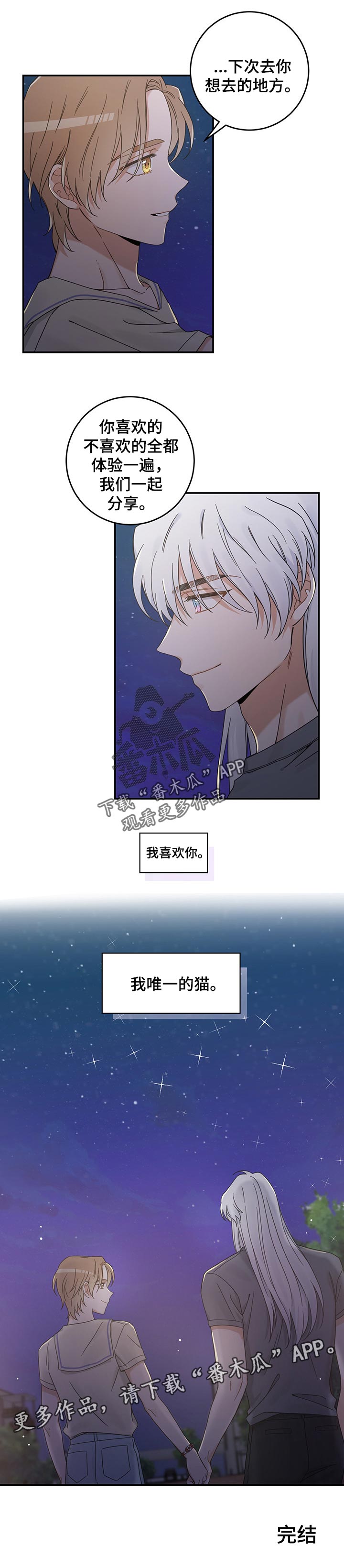 亲爱的喵君漫画,第117章：我唯一的猫【完结】3图