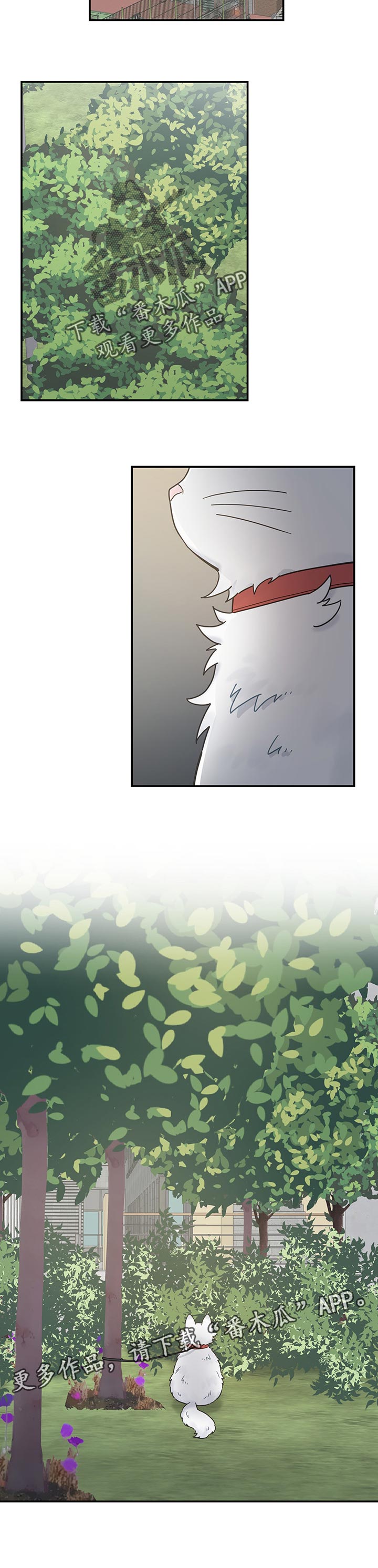 亲爱的喵君漫画,第109章：改变1图