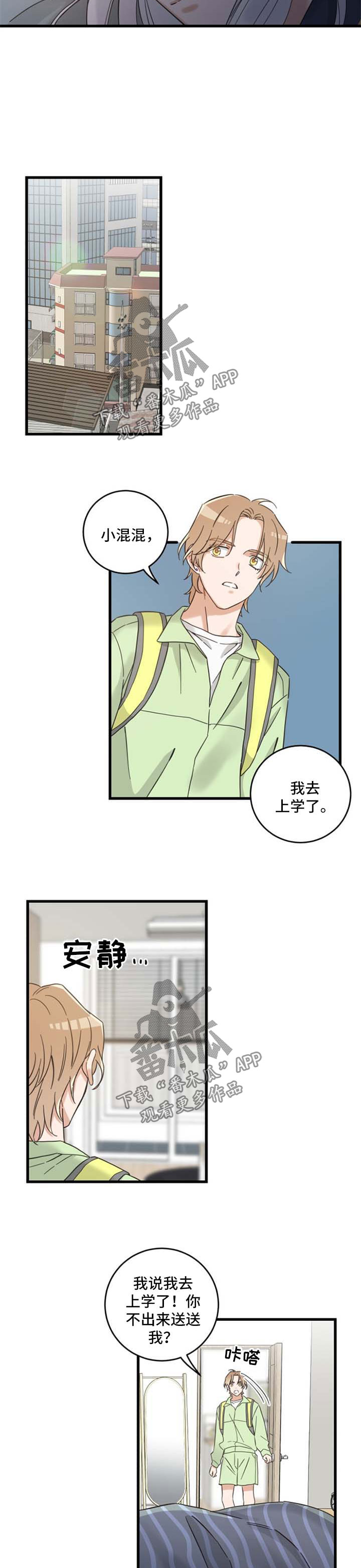 亲爱的喵君漫画,第96章：闹别扭3图