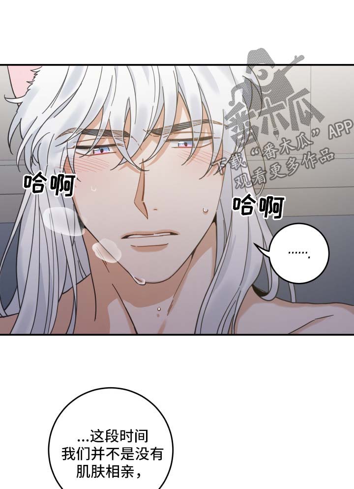 亲爱的喵君漫画,第50章：肌肤相亲4图