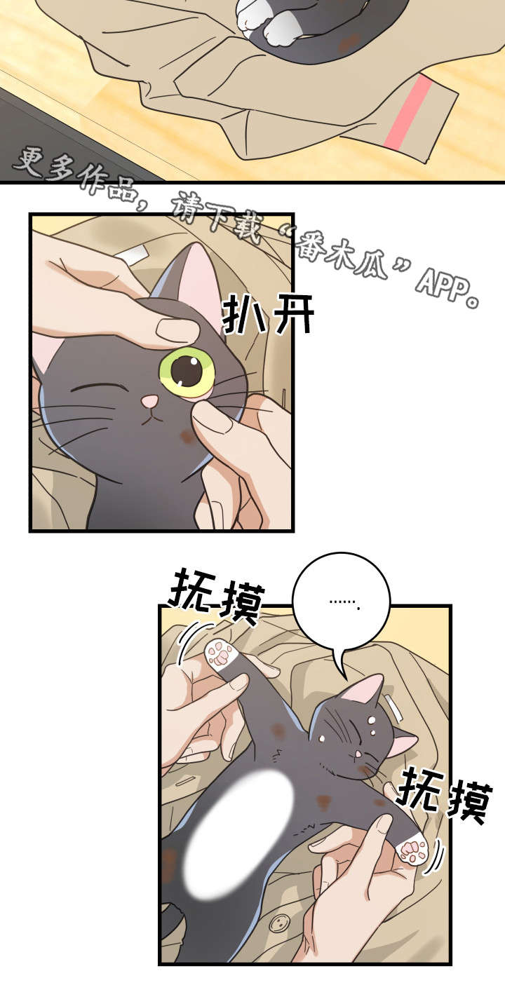 亲爱的喵君漫画,第32章：晕倒2图