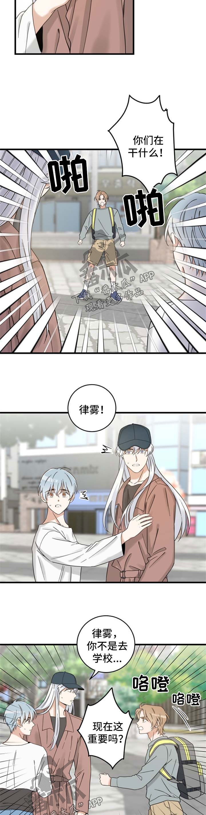 亲爱的喵君漫画,第99章：拒绝2图