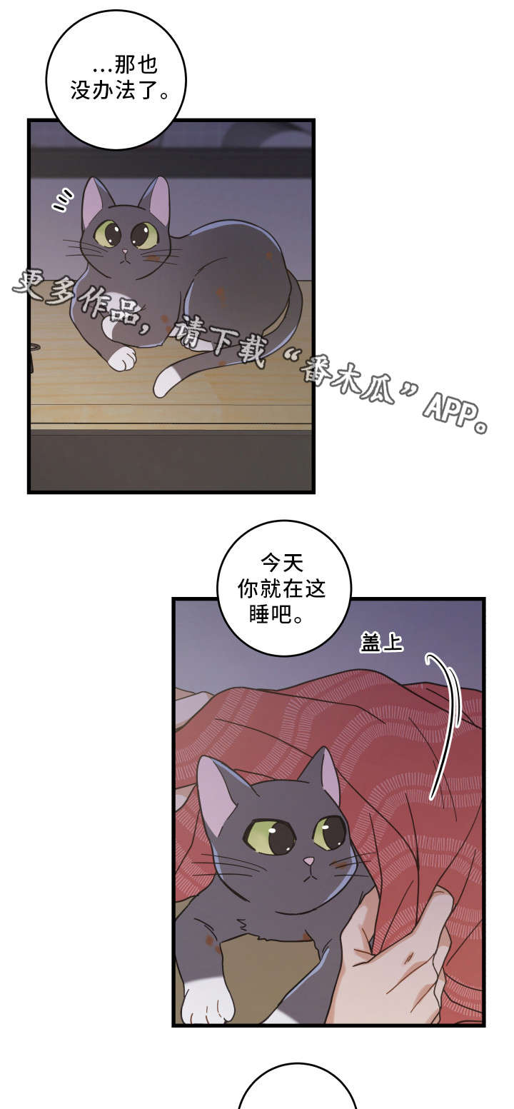 亲爱的喵君漫画,第35章：盯1图
