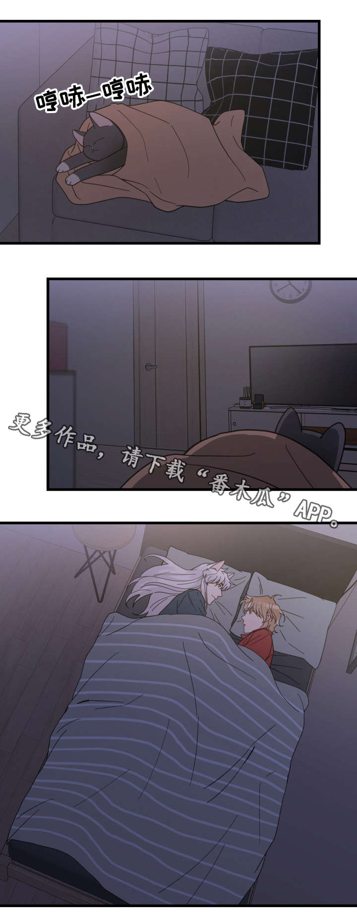 亲爱的喵君漫画,第37章：试探2图