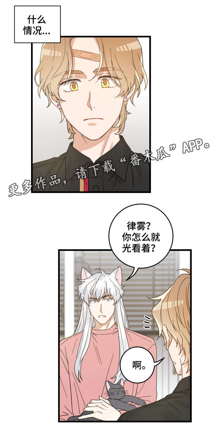 亲爱的喵君漫画,第37章：试探2图