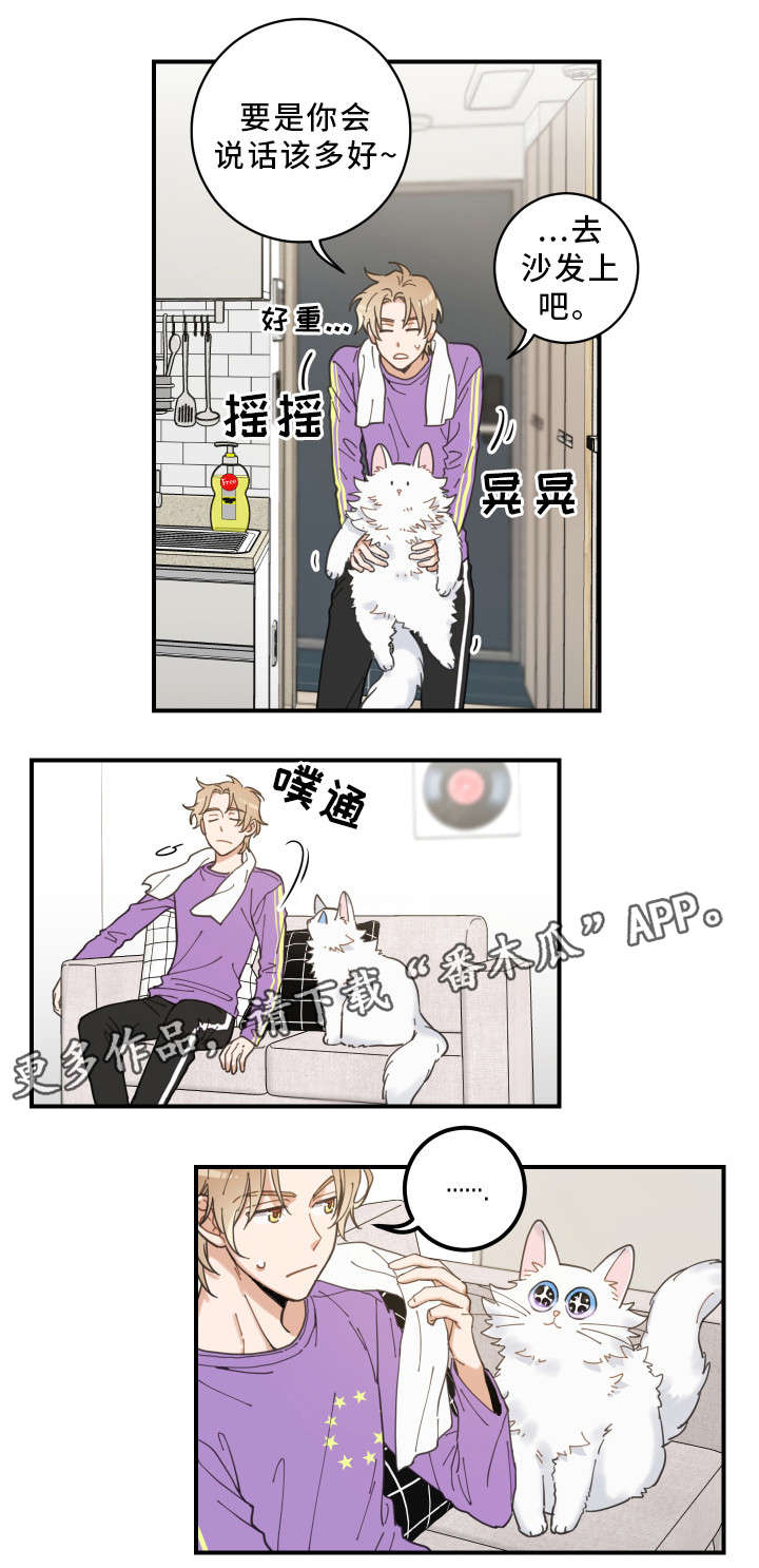 亲爱的喵君漫画,第4章：我要呆在这3图