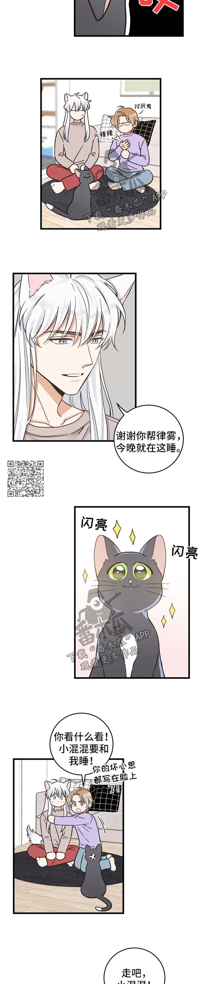亲爱的喵君漫画,第82章：想要回家4图