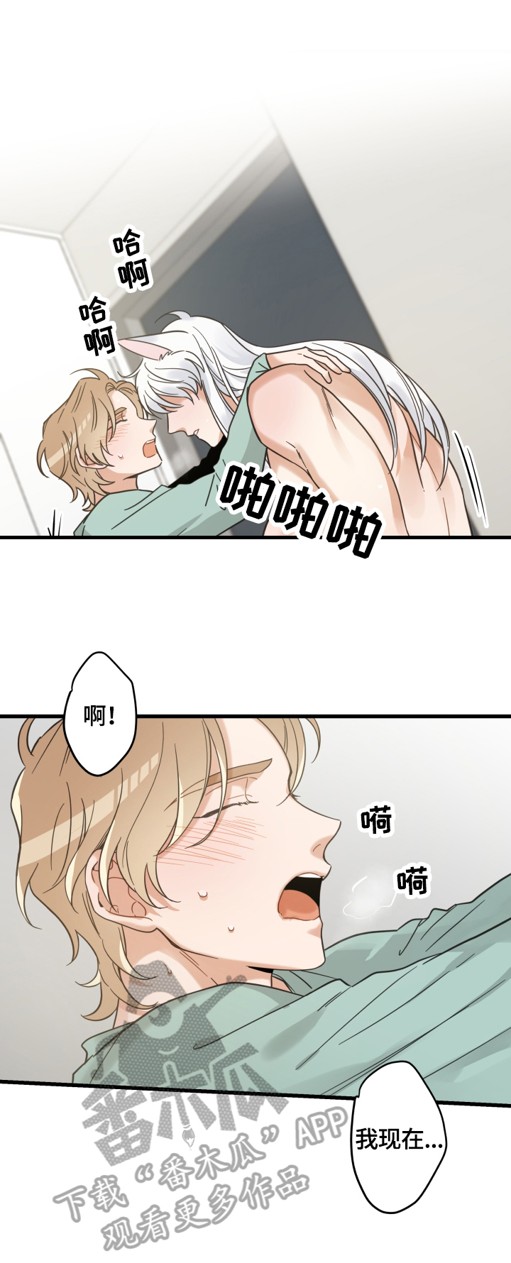 亲爱的喵君漫画,第66章：回忆2图