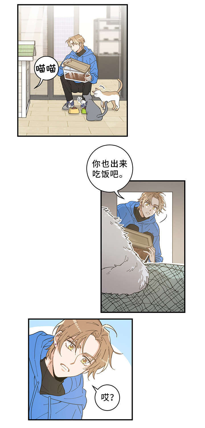 亲爱的喵君漫画,第1章：传说5图
