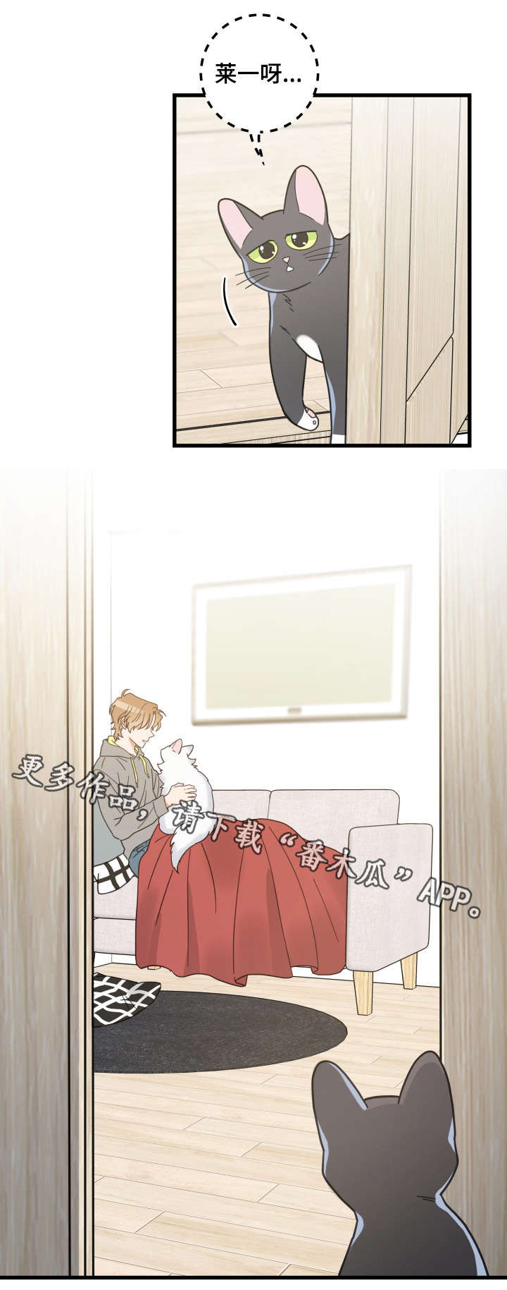 亲爱的喵君漫画,第40章：决心2图