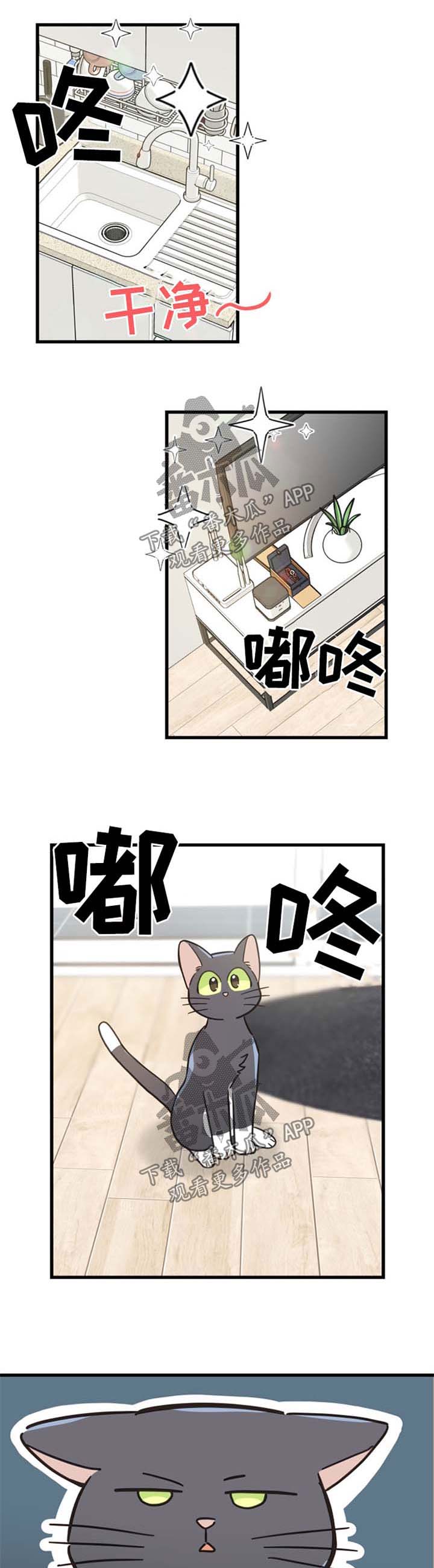 亲爱的喵君漫画,第81章：做客1图