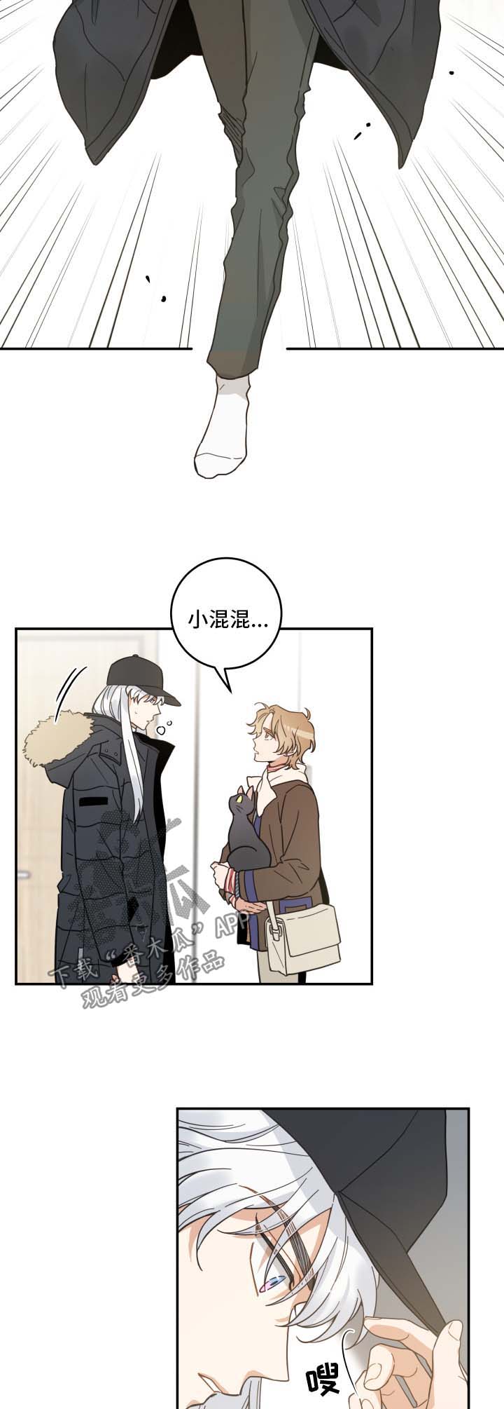 亲爱的喵君漫画,第46章：不能一起5图